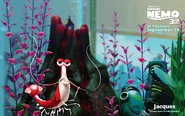 Jacques in Finding Nemo
