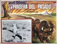 Lobby card from the release in Mexico (1950s)