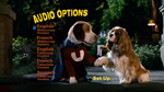 Audio Options menu