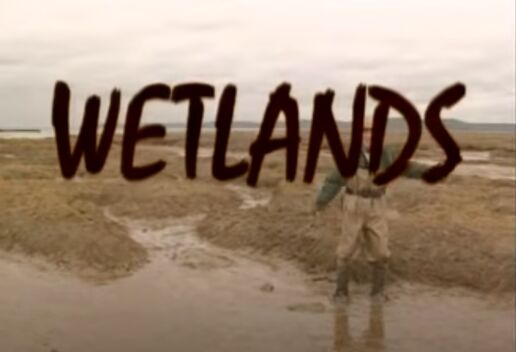 Wetlands bill bye