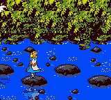 Gameplay