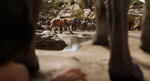 Jungle Book 2016 35