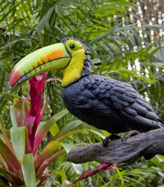 Tropical Toucans