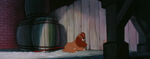 Lady-tramp-disneyscreencaps.com-4140