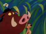 PP Timon and Pumbaa