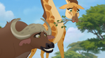 Twiga and Vuruga Vuruga act suspiciously about Makuu in front of the Lion Guard