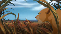 Lion-king2-disneyscreencaps