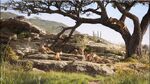 Sarabi with the other Lionesses