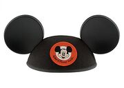 Mickey Mouse Ears Hat