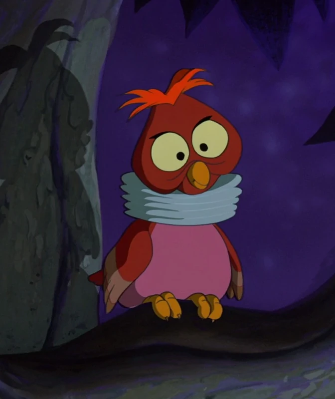 Accordion Owl