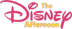 Disney Afternoon