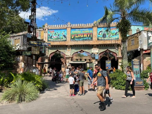 Feathered Friends in Flight!