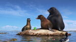Finding-dory-disneyscreencaps.com-4340