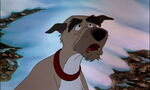 Fox-and-the-hound-disneyscreencaps.com-4111