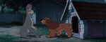 Lady-tramp-disneyscreencaps.com-7413