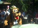 Pluto in Disney's Animal Kingdom Parade