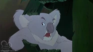 Krebbs (The Rescuers Down Under)
