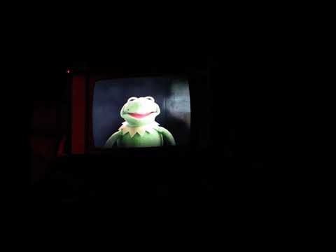 1st_New_Muppet_Vision_3D_Pre-Show-_Constantine-2