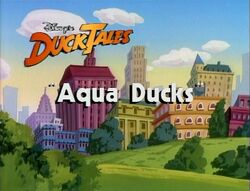 Aquaducks