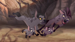 Janja Push Jasiri