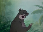 Baloo