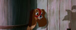 Lady-tramp-disneyscreencaps.com-4202