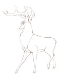 Bambi sketchbook 058