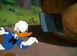 Donald Duck All In A Nutshell (1949)21