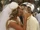 Maddie-kisses-dylan.jpg