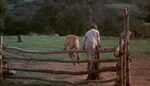 Old-yeller-disneyscreencaps.com-1476