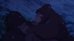 Kala comforts Kerchak, who is dying