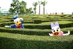 Daisy Duck with Donald Duck in the Hong Kong Disneyland Hotel