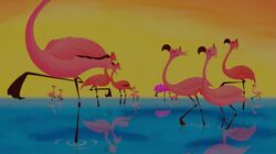 Yo Yo Flamingo, Disney Fanon Wiki