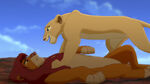 Simba gets pinned by Nala as she reminds him that he was the one who put them in danger when they were cubs