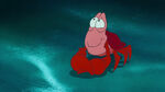 Little-mermaid-1080p-disneyscreencaps.com-3924