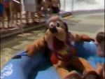 Pluto at Blizzard Beach