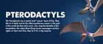 Pterodactyls Information