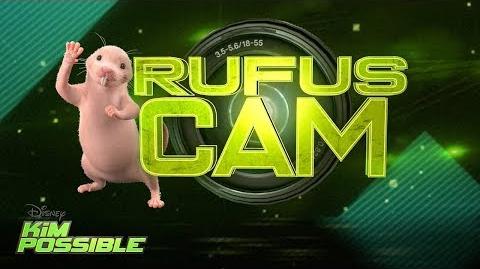 Rufus Cam Kim Possible Disney Channel Original Movie