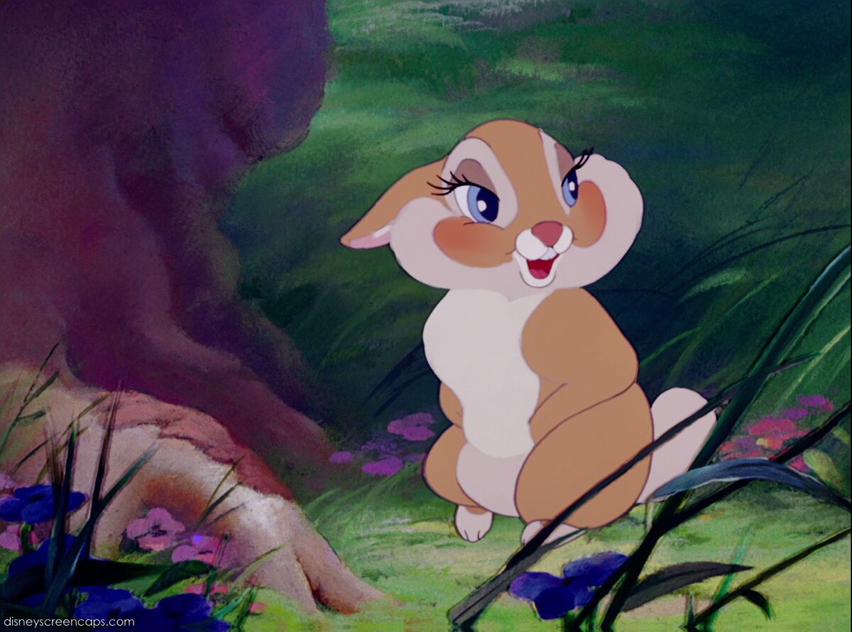 https://static.wikia.nocookie.net/disney/images/2/20/Bambi-disneyscreencaps.com-5694.jpg/revision/latest/scale-to-width-down/1200?cb=20120113234105