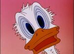 Donald Duck Duck Pimples 1945 - YouTube5