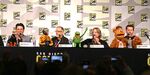 Muppets-panel-small