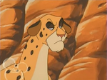 Cheetata