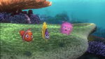 Finding-nemo-disneyscreencaps.com-1336