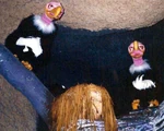 Vultures 1.jpg (69 KB) The Boothill Boys in "Burrow's Lament" in Splash Mountain at the Disneyland Park. (1989-2023)