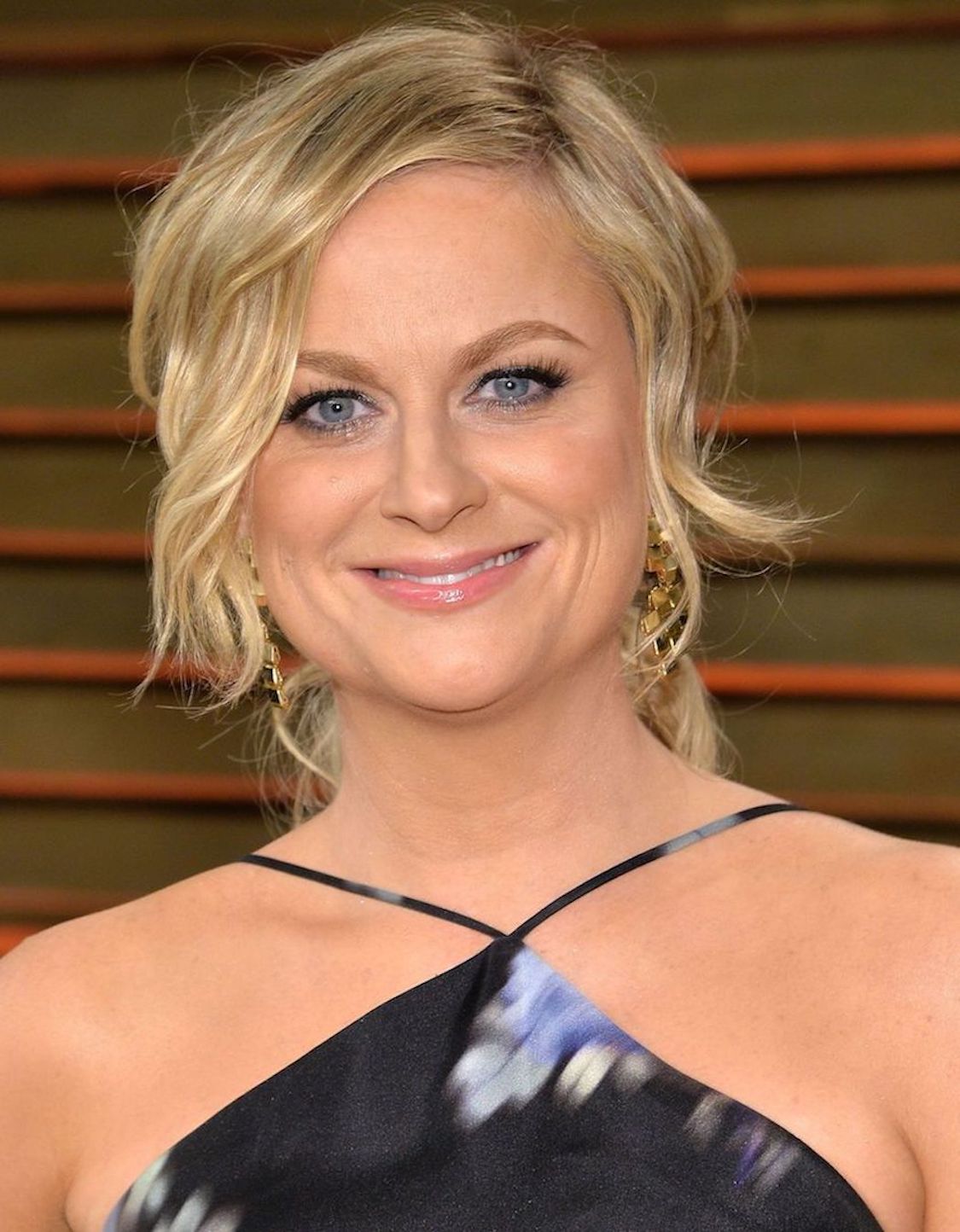 amy poehler high school