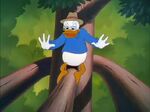 Donald Duck - Out On A Limb 195023