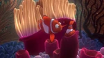 Nemo: "First day of school!" Marlin: "Nemo, don't move. Don't move." Marlin sees Nemo stuck