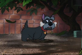 Ladyandthetramp127