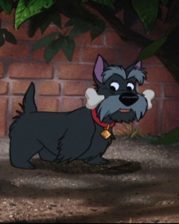 scottie dog from lady and the tramp