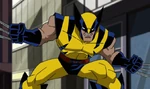 Wolverine en The Avengers: Earth's Mightiest Heroes.